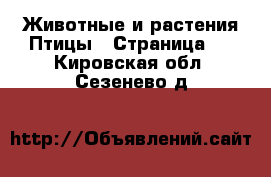 Животные и растения Птицы - Страница 2 . Кировская обл.,Сезенево д.